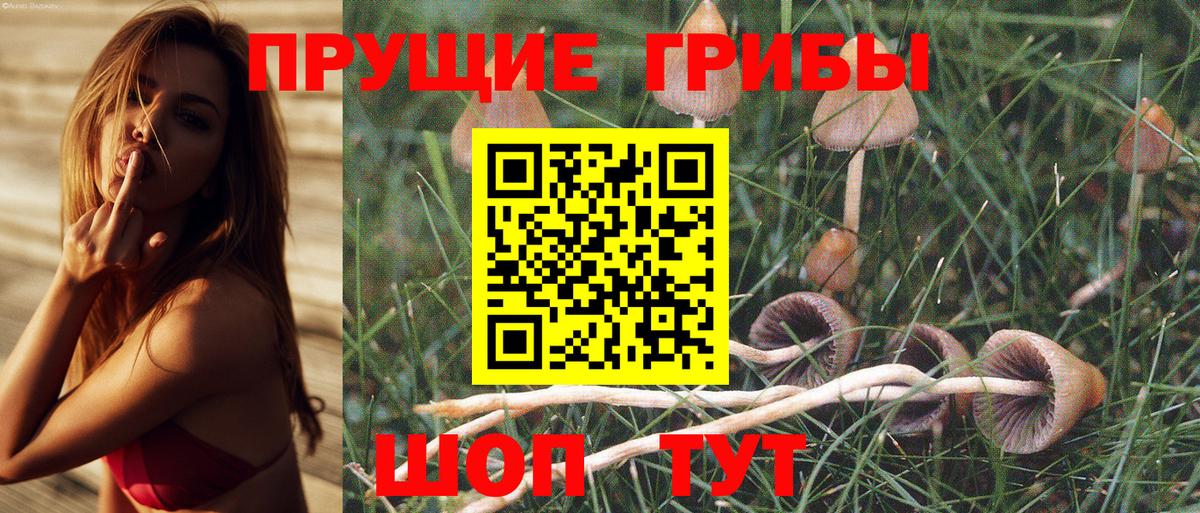Псилоцибиновые грибы мицелий Южно-Сахалинск