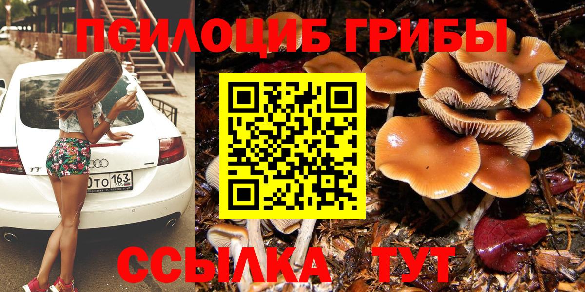 Галлюциногенные грибы мицелий  цена наркотик  Южно-Сахалинск  Галлюциногенные грибы мицелий  Вход с VPN 
